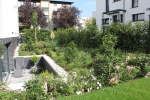 Gartenpflege Frankfurt
