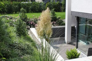 Hangbepflanzung Privatgarten Frankfurt